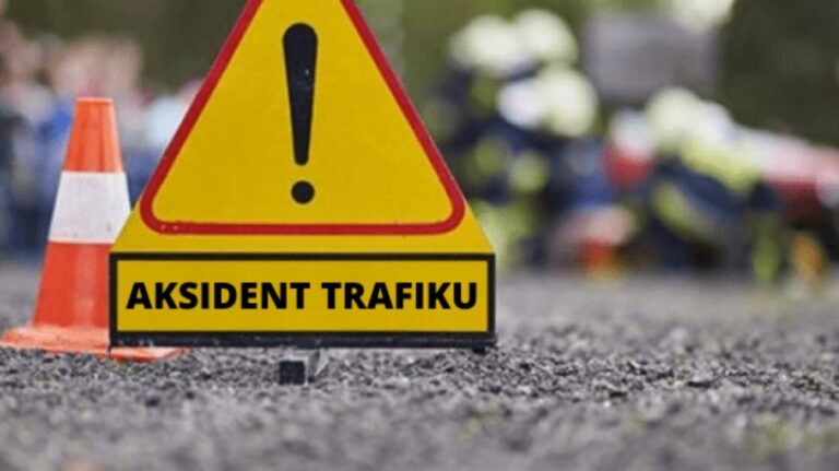 51 aksidente dhe mbi 2 mijë gjoba në 24 orë