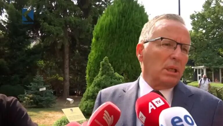 Hamza: Kuvendi duhet të konstituohet, presim lirimin e ish-krerëve të UÇK-së